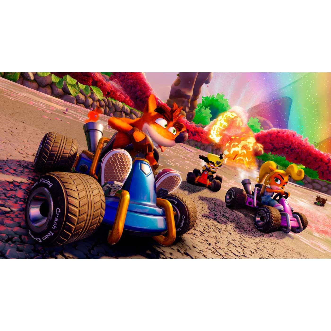 Juego PS4 Crash Team Racing