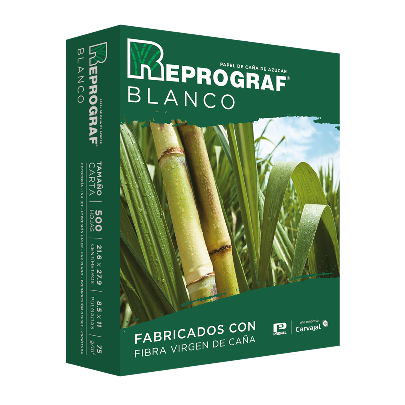 Resma de Papel Tamaño Carta 75G Resma de Papel Tamaño Carta 75G