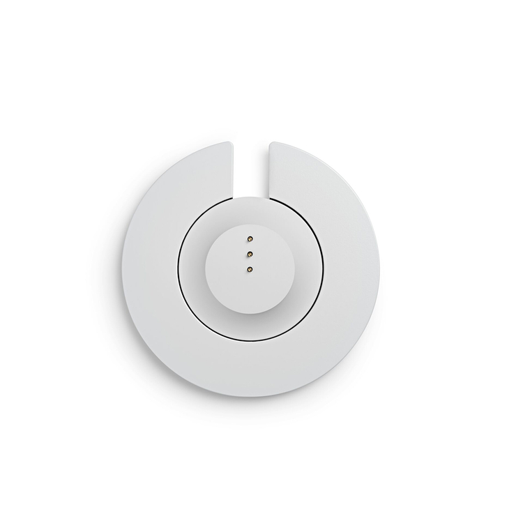 Cargador Portable Home Speaker Plateado Cargador Portable Home Speaker Plateado