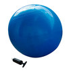 Balón de Gimnasia EVOLUTION 65 cm - 