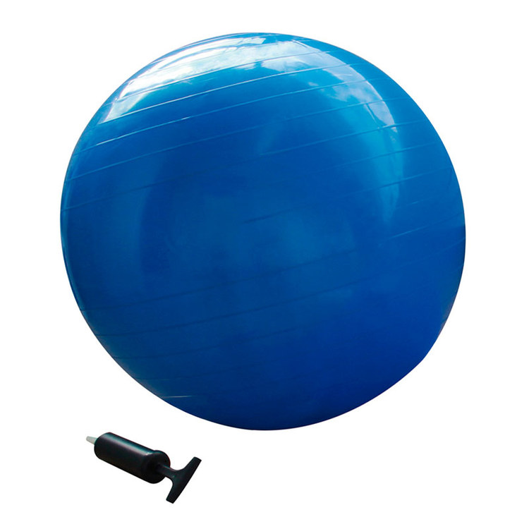Balón de Gimnasia EVOLUTION 65 cm